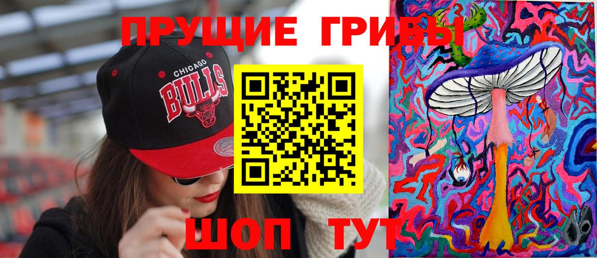 Галлюциногенные грибы GOLDEN TEACHER  Вход с VPN  Тольятти 
