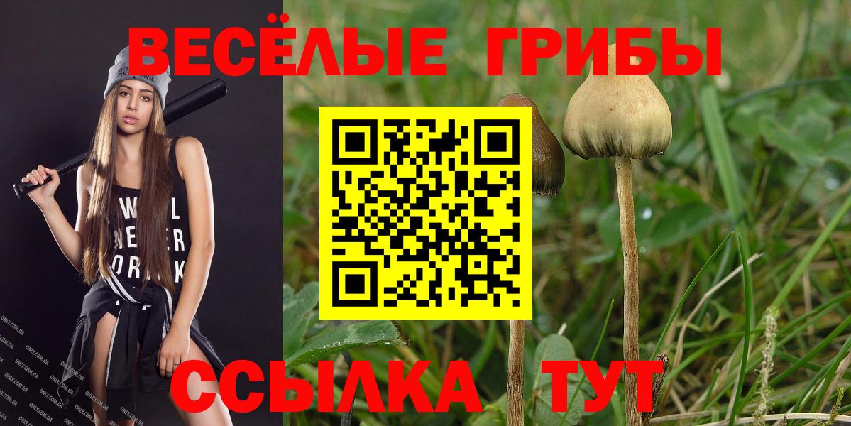 Псилоцибиновые грибы прущие грибы Тольятти